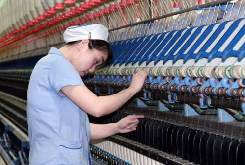 200噸變20噸 想濫竽充數(shù)結(jié)果產(chǎn)品堆積,現(xiàn)又想起我國(guó)的好